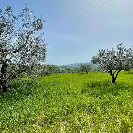 La Porta Del Gran Sasso *